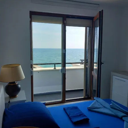 карпе дием 巴尔奇克